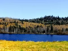 -五营红松林海景区