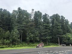 -五营红松林海景区