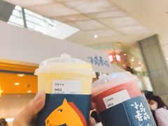 -春丽小马(济南恒隆广场店)