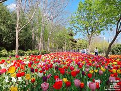 -郑州中国绿化博览园