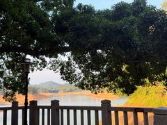 -广州市流溪河国家森林公园