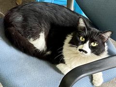 -海关荤豆花(洋河一路店)