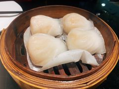 虾饺王-高第街56号餐厅(银座商城玉函店)