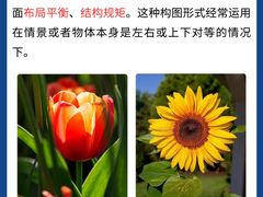 -CGWANG王氏教育(上海校区)