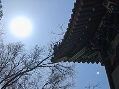 -国家图书馆·古籍馆