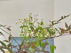 -白熊咖啡(闽江大道店)
