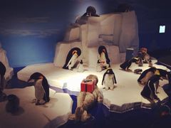 iphone_upload_pic-成都泰迪熊博物馆