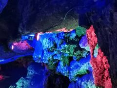 -寻龙山风景旅游区