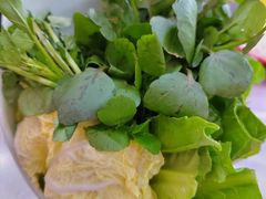 时蔬拼盘-蚝羊氣惠来羊肉火锅·高压锅生蚝