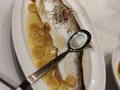 豆斋饼蒸白鱼-好福记饭店(红梅公园店)