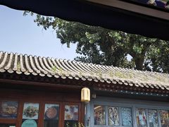 -Sirena海妖日咖夜酒