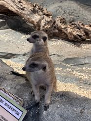 -Zoolung Zoolung动物主题公园(海信广场店)