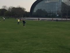 -吴淞炮台湾湿地森林公园烧烤区