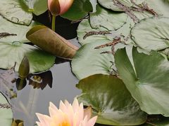 -厦门国家会计学院