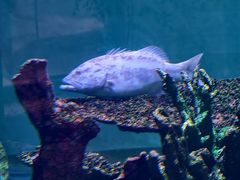 -上海大自然野生昆虫馆(东方明珠·爬宠昆虫探索中心)
