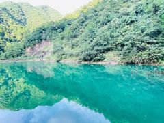 -大奇山国家森林公园