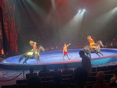 -珠海横琴长隆《卡卡虎奇遇记》