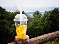 橙橙茶果乐-MAMACHA妈妈茶(岳麓山店)
