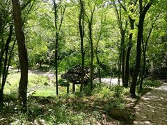 景点-玉女潭景区