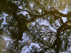 -绮园景区