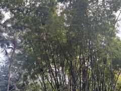 -中山公园(石岐街道)