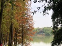 -番禺大夫山森林公园
