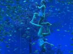 -合肥海洋世界