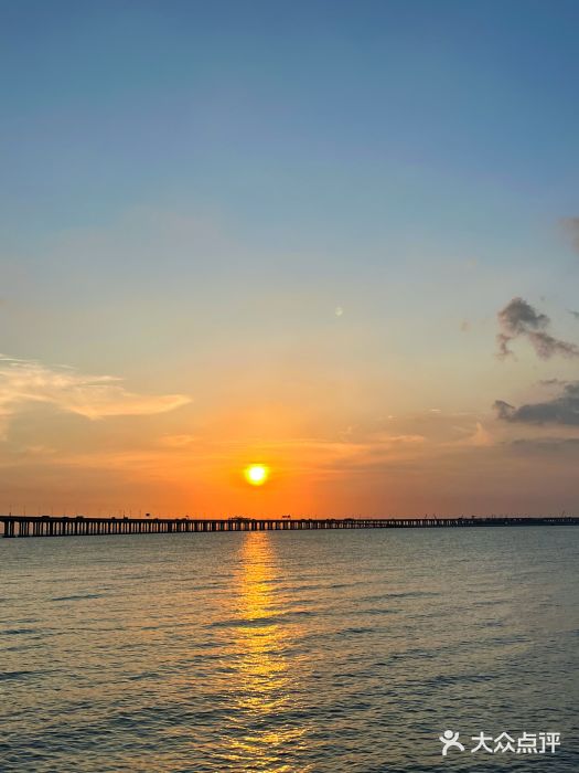 宝安西湾红树林湿地公园图片