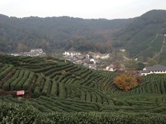 -西湖风景区十里琅珰-五云山