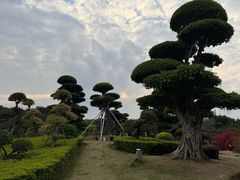 -南宁南湖公园