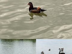 -颐和园