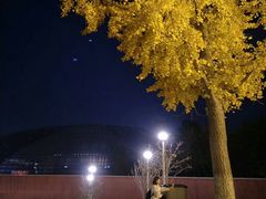 门面-国家大剧院