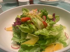 -大鸭梨烤鸭店(光彩店)