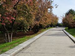 -长春世界雕塑园冰雪艺术天地