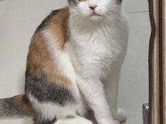 -美联众合动物医院·24h转诊中心