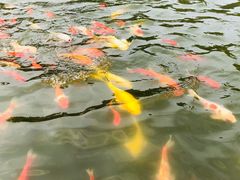 -济南马套将军山