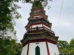 -分塔山省级森林公园