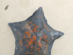 -青岛海尔洲际酒店