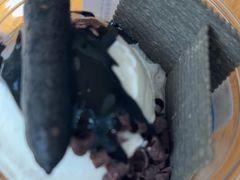 -Blueglass酸奶(财富购物中心店)