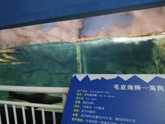 -西安曲江海洋极地公园
