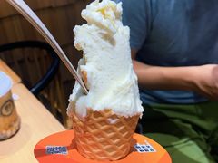 香草牛乳-野人先生现做冰淇淋(北京顺义祥云小镇店)