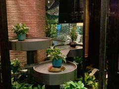 -润园四季椰子鸡火锅(海上世界店)