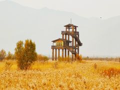 -野鸭湖国家湿地公园