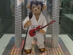 -济州岛泰迪熊博物馆