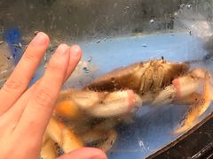 -岭南海晏楼(滨江东总店)