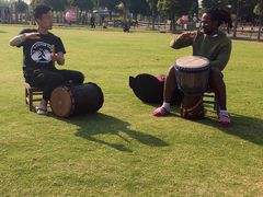 -田园东方蜜桃村的田野营地