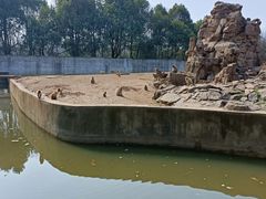 -合肥野生动物园