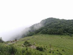 -白草畔自然风景区