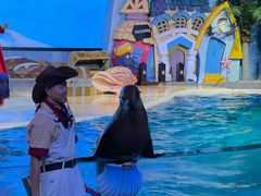 -三亚海昌梦幻海洋不夜城