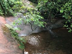 -赤水丹霞旅游区·佛光岩
